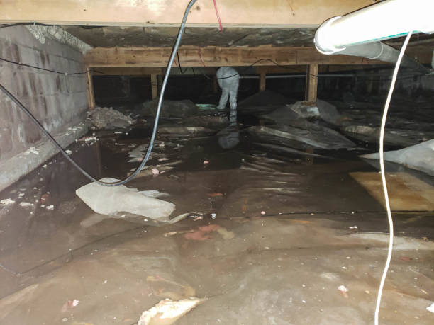 Best Residential Water Damage Restoration in USA